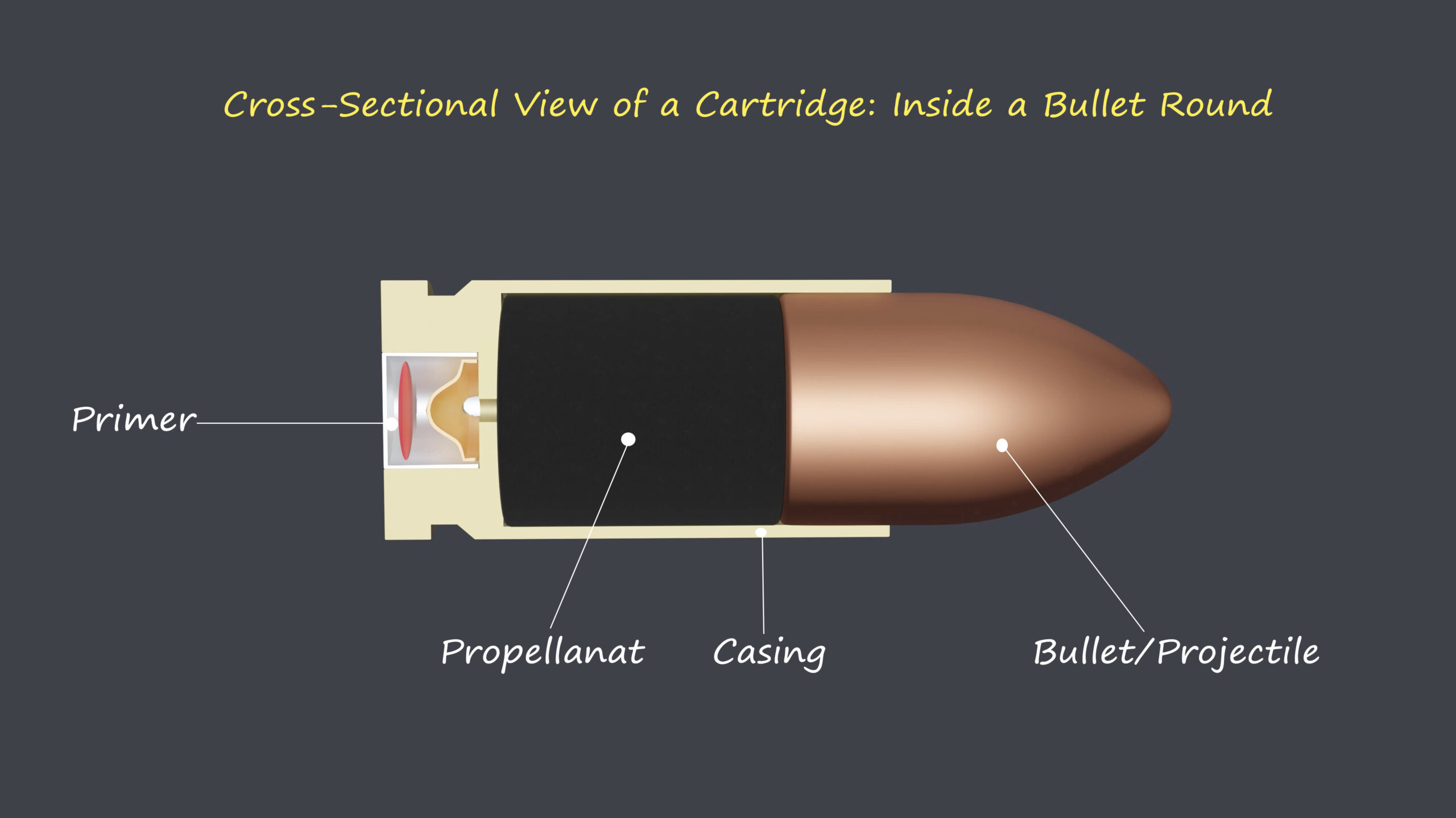 How does a Bullet work? With 3D Animation