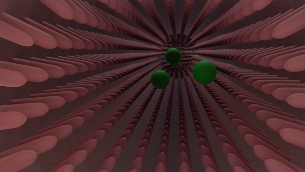 Illustration showing medicine being absorbed from the small intestine into the bloodstream.