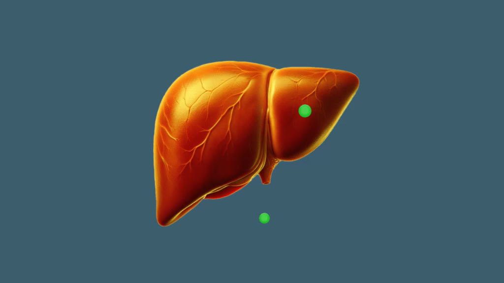 Diagram showing how the liver processes and metabolizes medicine in the human body.