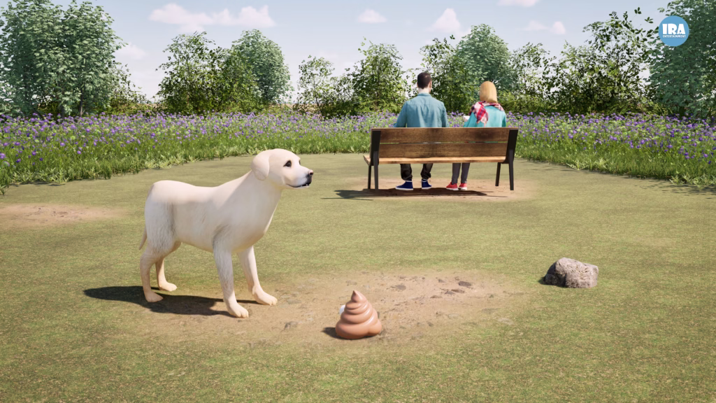 Why Do Dogs Eat Poop?