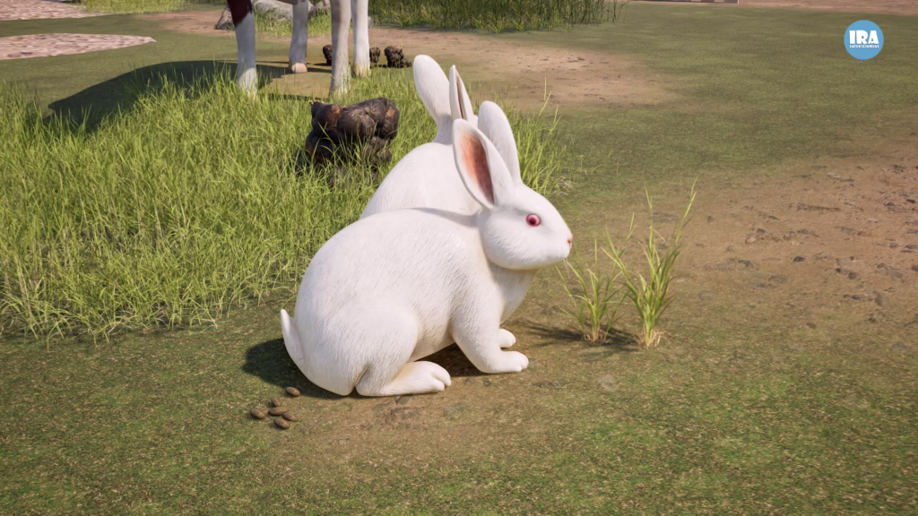 Animals That Must Eat Their Own Feces to Survive