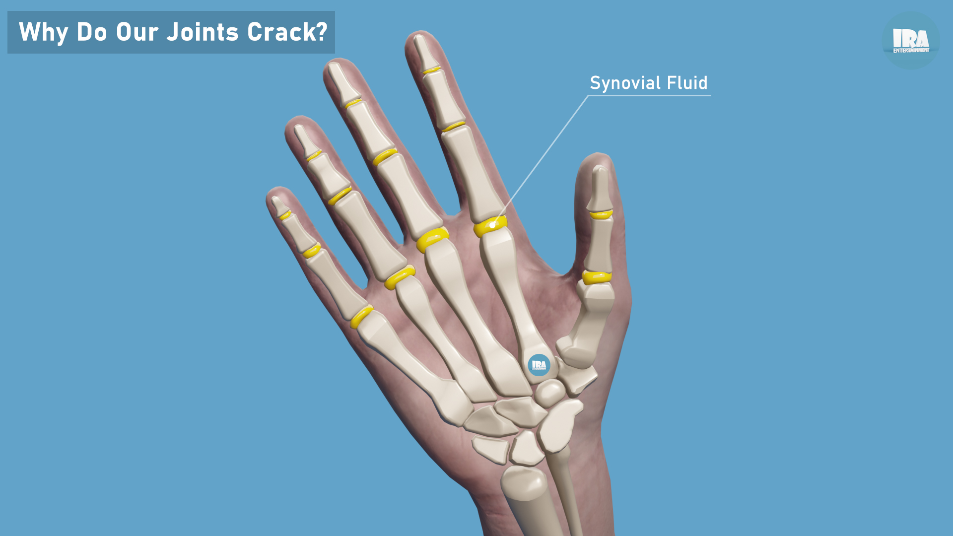 Why Do Our Joints Crack?