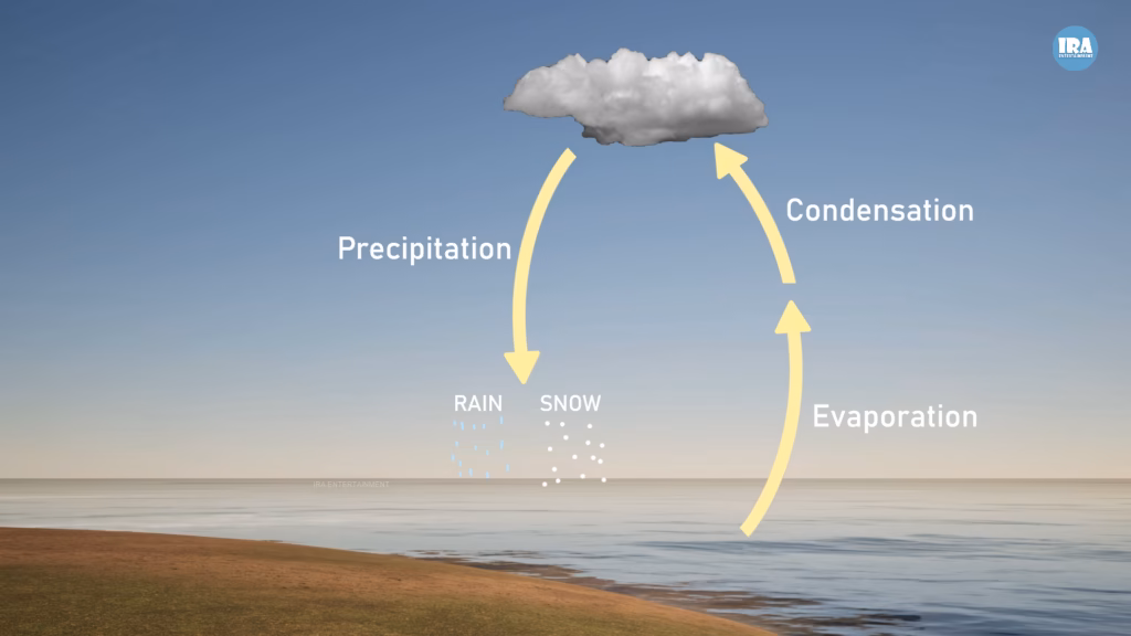 water cycle